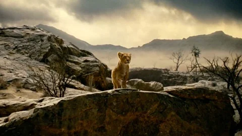 First look at young Mufasa from The Lion King prequel out