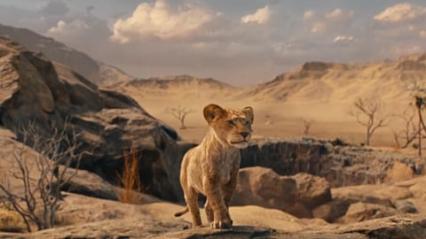Mufasa: The Lion King Trailer: The story of the lion who would change our lives forever