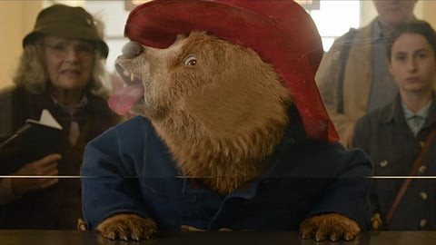 Paddington in Peru Trailer: Paddington ventures into the Amazon in pursuit of Aunt Lucy