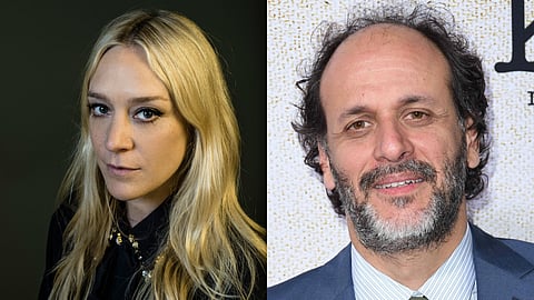 Chloe Sevigny onboard Luca Guadagnino's film After the Hunt