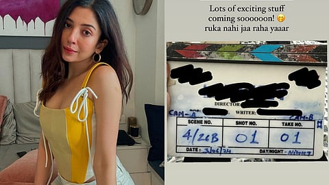 Barkha Singh (left) and a screenshot from her Instagram story