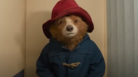 Paddington in Peru