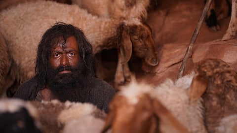 Aadujeevitham sweeps 54th Kerala State Film Awards