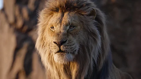 A still from the trailer