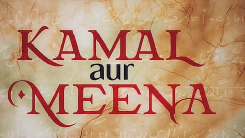 The poster of the film