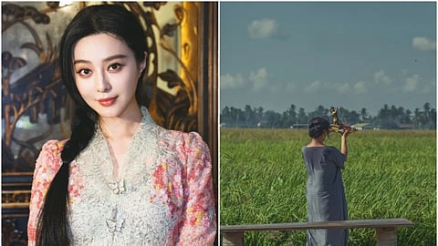 Fan Bingbing headlines Mother Bhumi