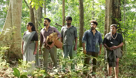 Multistarrer Forest sets January 2025 release date