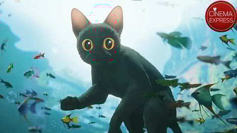 Acclaimed animation film Flow gets India release