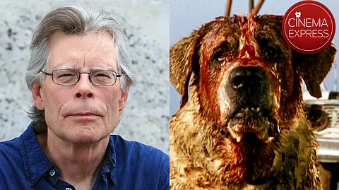 Netflix confirms Stephen King's Cujo remake