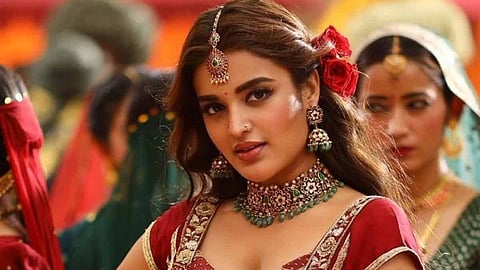 Nidhhi Agerwal: I am not an accidental actor