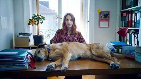 Cinema Without Borders: Who let the dog out?—Dog On Trial