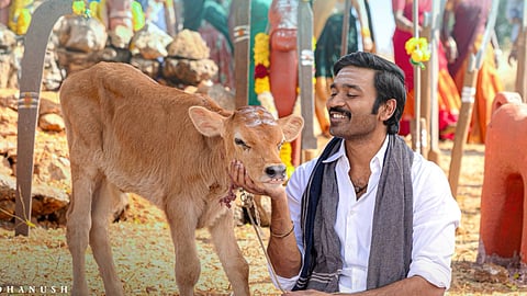 Idli Kadai box office Day 2: Dhanush’s entertainer maintains momentum, crosses Rs 20 crore mark