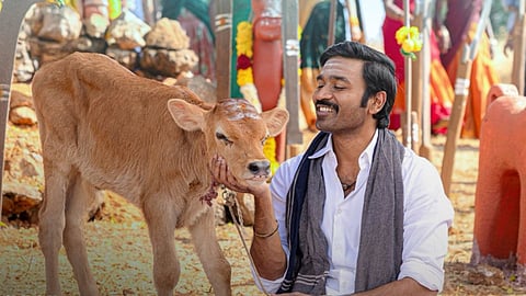 Dhanush in a still from Idli Kadai