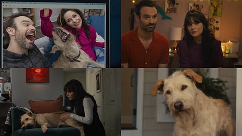 Merv trailer: A paw-friend attempts to reunite his separated parents