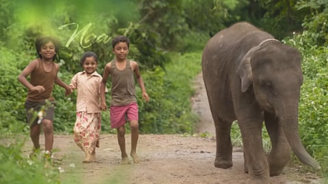 'Hey Kurinjiye' song from Kumki 2 is a soothing melody