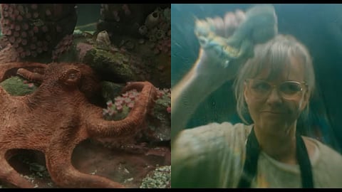 Netflix’s Remarkably Bright Creatures teaser introduces us to the octopus voiced by Alfred Molina