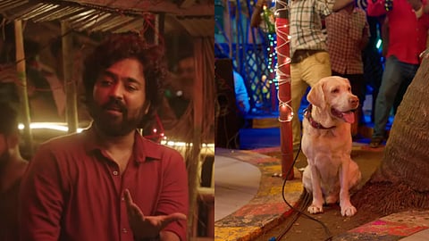 'Kaathukulla Kuruvi' song from Kayal Chandran's Singha is a lively party number