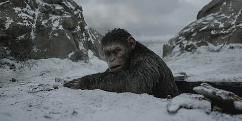 War for the Planet of the Apes: Evocative storyline, but slow as ape compost