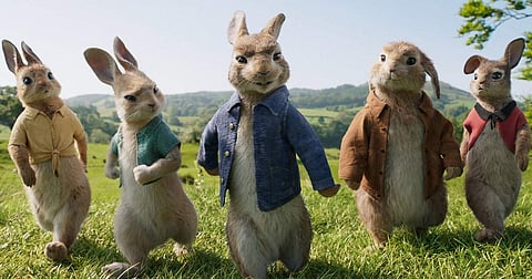 Peter Rabbit to get a sequel