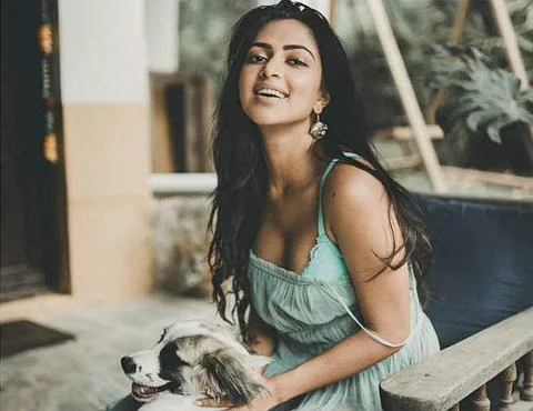 Amala Paul goes to Bollywood