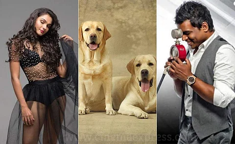 Andrea Jeremiah and Yuvan Shankar Raja lend voices for quirky duet between dogs