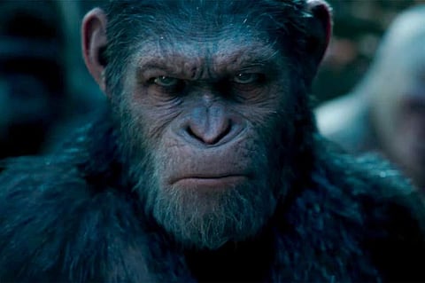 Wes Ball developing new Planet of the Apes film