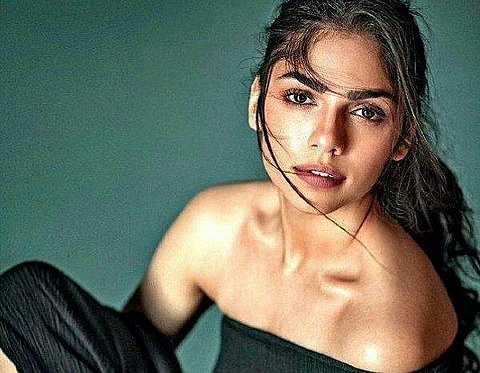 Sharmin Segal signed for three films with Bhansali Productions