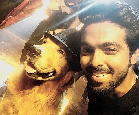 Location Diaries: Dog day afternoons