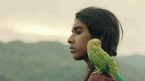 Maadathy, an Unfairy Tale Movie Review: Leena Manimekalai’s blazing, poignant tale of terror