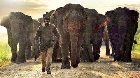 Location Diaries: Jungle Book