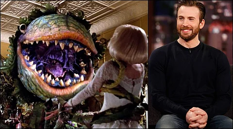 Chris Evans in talks to play dentist Orin Scrivello in Little Shop of Horrors remake