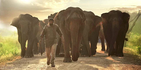 Rana Daggubati: It was difficult to lose weight since I have always been a guy with a big physique