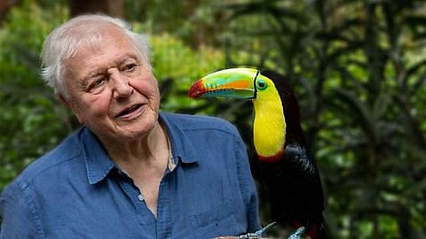 Life In Color Docuseries Review: A marveleous celebration of the colourful natural world