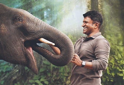 Gandhada Gudi Movie Review: When nature brought Appu back