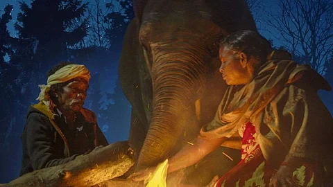 Premiere date of The Elephant Whisperers out
