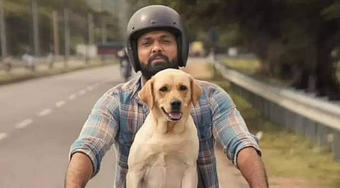 Rakshit Shetty's 777 Charlie to release in Thailand on December 1
