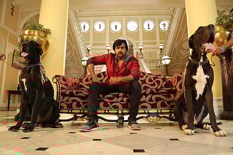 Rajamarthanda Movie Review: A fitting tribute to Chiranjeevi Sarja's devoted fanbase