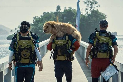 Trailer for Mark Wahlberg's Arthur the King is out