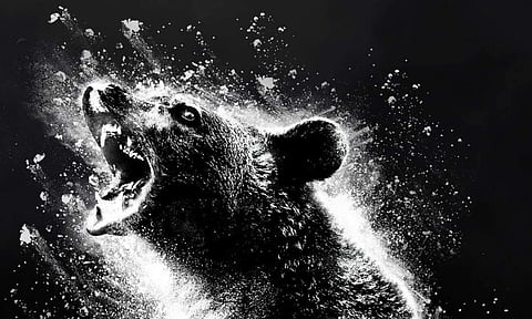 Cocaine Bear