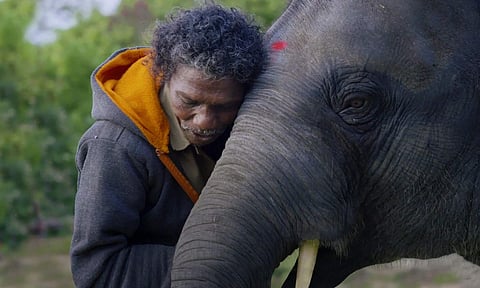 Oscars 2023: Making of The Elephant Whisperers was a beautiful journey, says caretaker Bomman