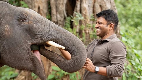 Appu’s last film GandhadaGudi coming to Prime on March 17
