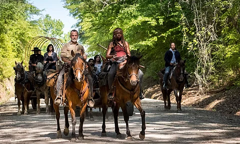The Walking Dead's Rick and Michonne spin-off wraps filming