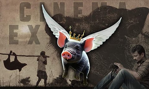When pigs fly