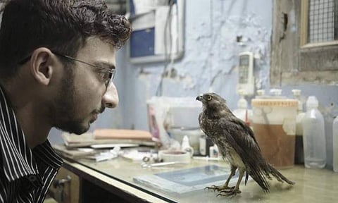 Shaunak Sen's All That Breathes now available on JioCinema