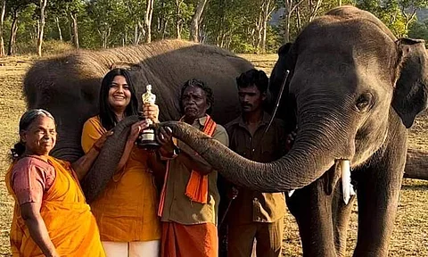 Director didn’t return money taken for shoot: Oscar couple Bomman and Bellie allege