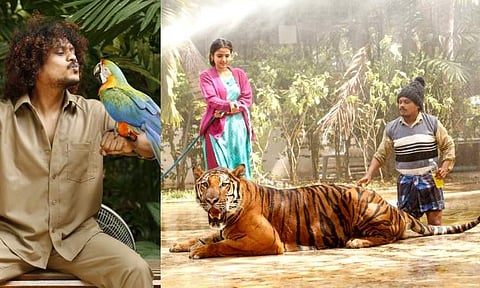 Actor Pugazh: Fans of Jurassic Park will like Mr Zoo Keeper