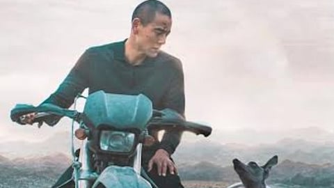 Cinema Without Borders: Black Dog—Canine encounters