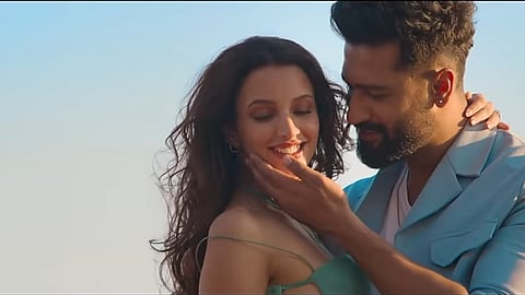 Vicky Kaushal and Triptii Dimri in a still from the song's music video