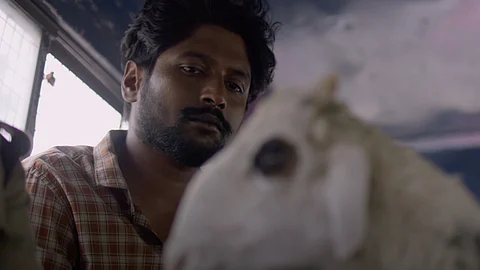 A still from the trailer