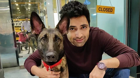 Adivi Sesh appeals to judiciary and Delhi govt against mass confinement of street dogs